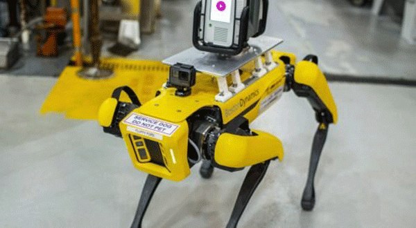 سگ های رباتیک در فورد مشغول به کار شدند