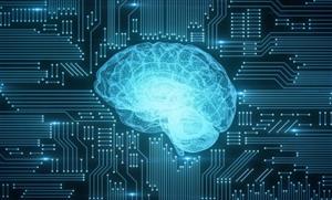 هوش مصنوعی می تواند خطر سکته مغزی را پیش بینی کند