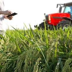 چگونه دیجیتالی شدن می‌‌تواند رونق جدیدی برای کشاورزی به همراه داشته باشد