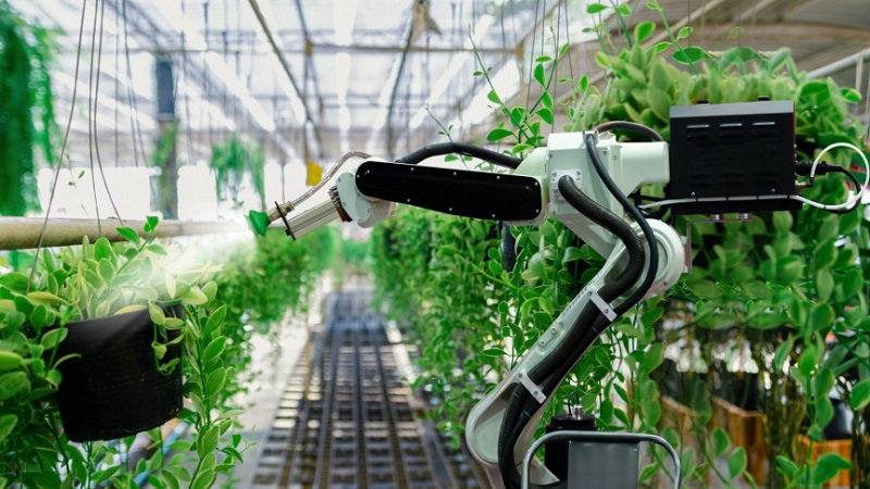ربات ها و هوش مصنوعی؛ کشاورزان متفاوت آینده!