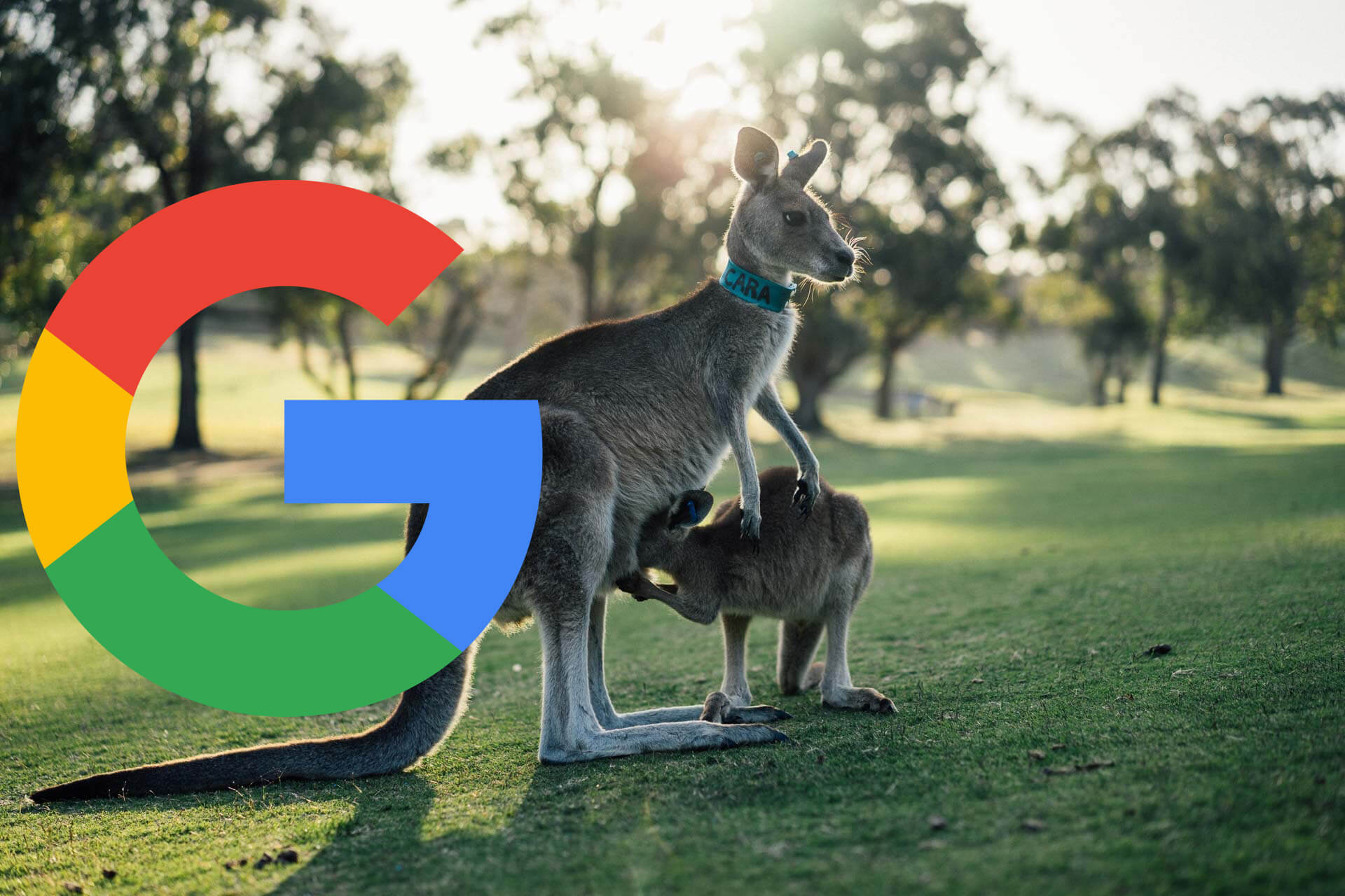 سرمایه گذاری یک میلیارد دلاری گوگل در توسعه اقتصاد دیجیتال استرالیا