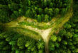 استفاده از تصویربرداری ماهواره ای با هوش مصنوعی برای نجات جنگل های آمازون