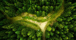 استفاده از تصویربرداری ماهواره ای با هوش مصنوعی برای نجات جنگل های آمازون