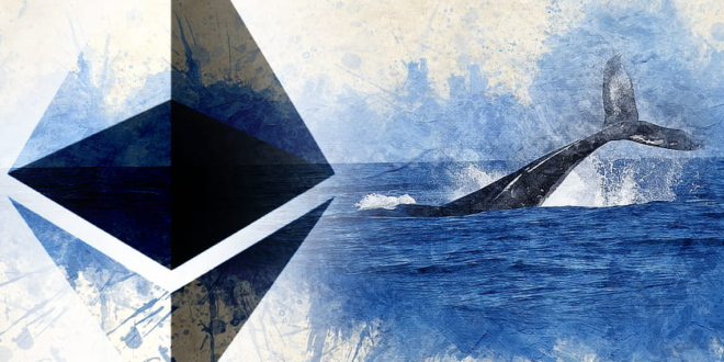 افزایش تعداد نهنگ‌های اتریوم همزمان با رالی صعودی این رمزارز