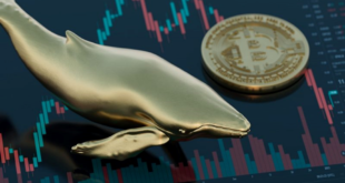 تحلیل رفتار نهنگ ها در بازار ارزهای دیجیتال چگونه است؟