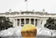 کاخ سفید به دنبال قانونی کردن صنعت ارز دیجیتال