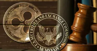 مبارزه‌ی میان SEC و رپیل ادامه دارد درخواست تجدید‌نظر به دادگاه ارسال شد