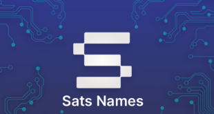 نام های ساتوشی یا همان ساتس نیمز (Sats Names) بیت کوین چیست؟